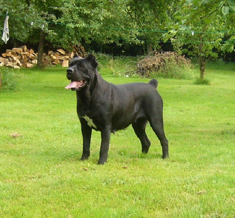 Vanloup Du Clos des Trois Rivières