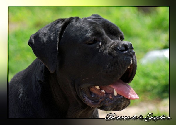 Danae Du Clos des Trois Rivières