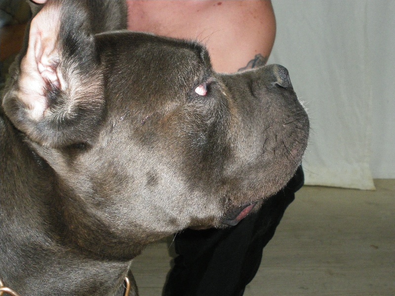 Eden Du Clos des Trois Rivières