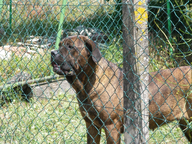 Era Du Clos des Trois Rivières