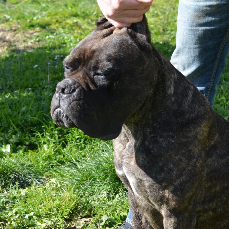 Danae Du Clos des Trois Rivières