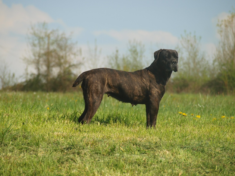 Emma Du Clos des Trois Rivières