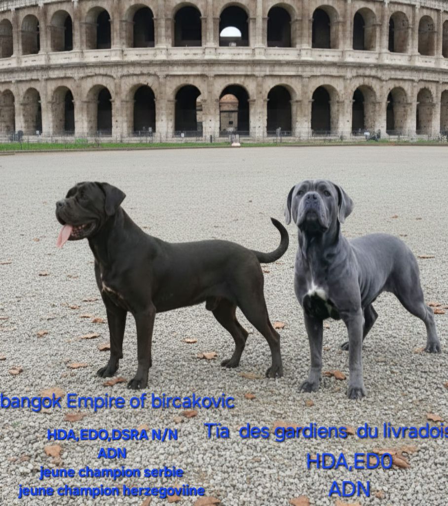 Naissance prévue mi novembre 